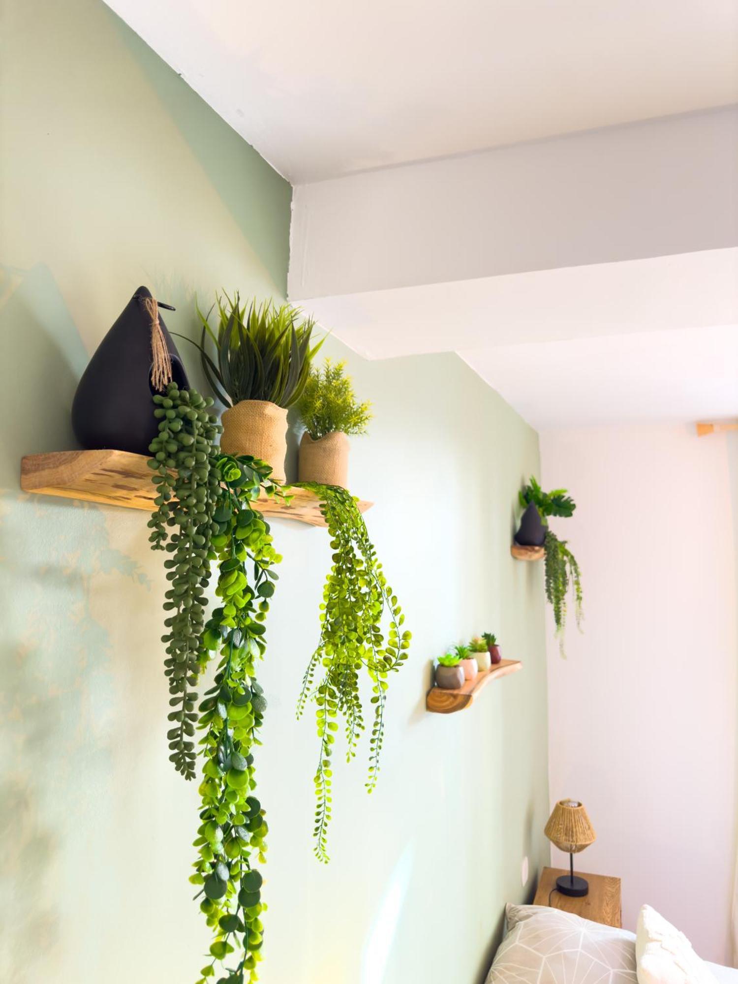 Appartamento Le Patio ※ Carnot Carcassonne Esterno foto